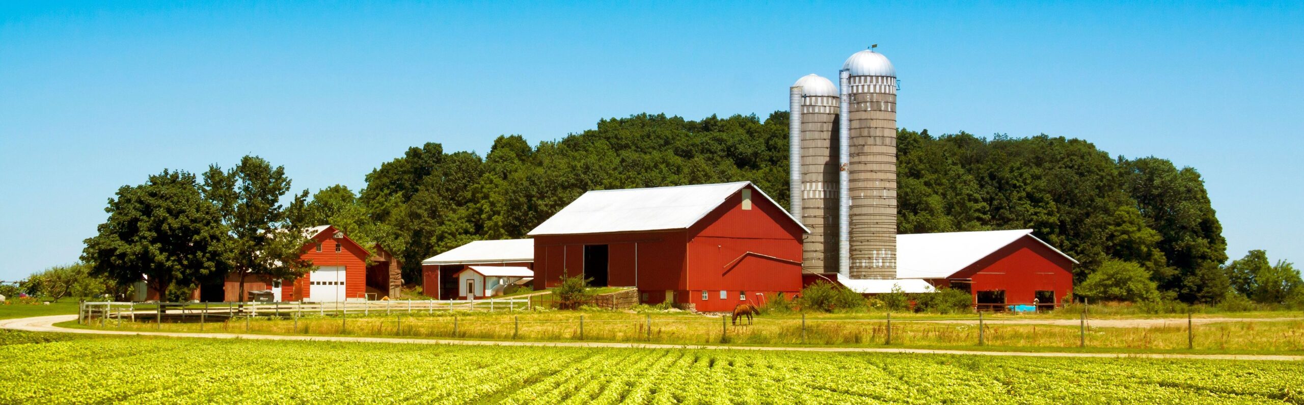 american country